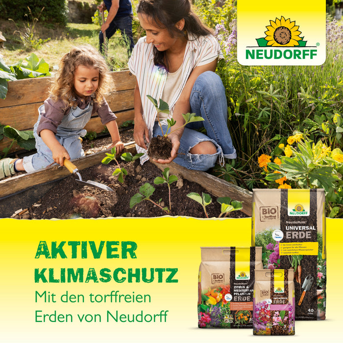 Neudorff NeudoHum Grünpflanzen- & PalmenErde - Silberkraft