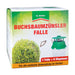 Buchsbaumzünsler-Falle: Rechtzeitige Befallserkennung und zuverlässige Schädlingsüberwachung - Silberkraft