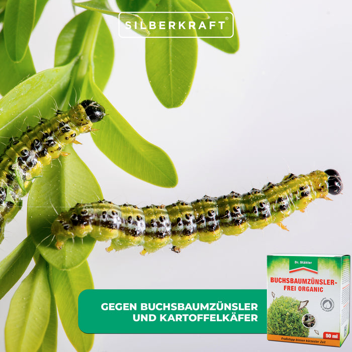 Buchsbaumzünsler-Frei Organic: Schützt effektiv vor Schadinsekten - Silberkraft