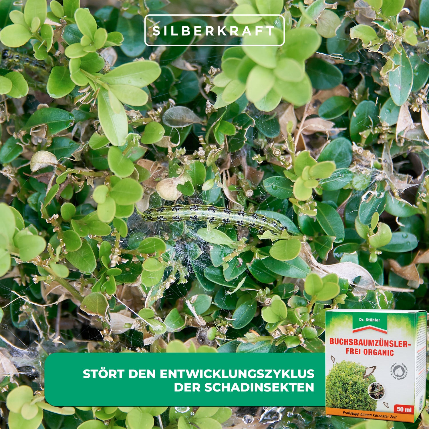 Buchsbaumzünsler-Frei Organic: Schützt effektiv vor Schadinsekten - Silberkraft