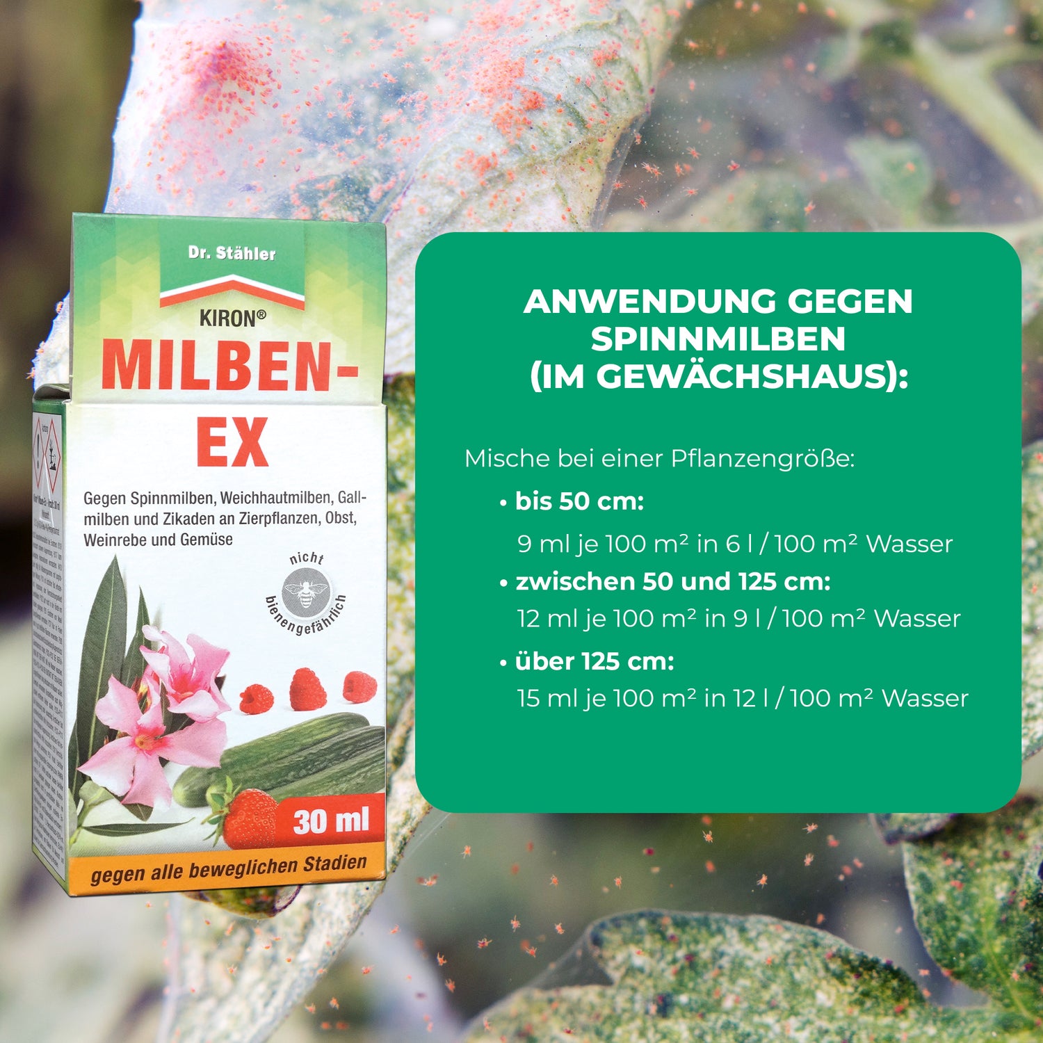 Kiron Milben-Ex: Effektive Bekämpfung von Spinnmilben und Schädlingen an Obst, Gemüse und Zierpflanzen - Silberkraft