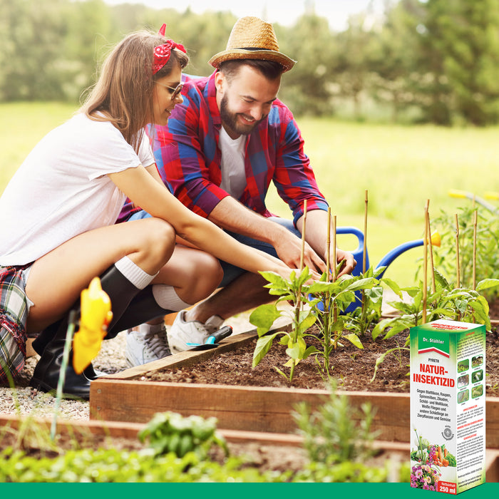 Pyreth Natur-Insektizid: Optimaler Insektenschutz für Zierpflanzen, Obst- und Gemüseanbau - Silberkraft