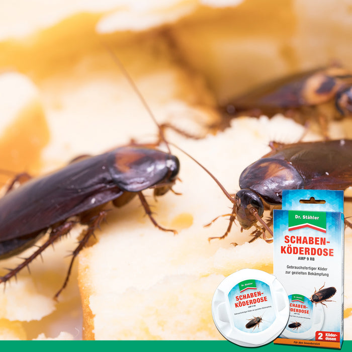 Schaben-Köderdose für Innenräume gegen die deutsche Schabe, gemeine Küchenschabe und Amerikanische Großschabe - Silberkraft