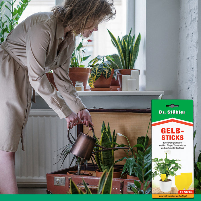 Effektive Gelbsticks zur Bekämpfung fliegender Insekten wie die weiße Fliege, Trauermücke & Blattlaus - Silberkraft
