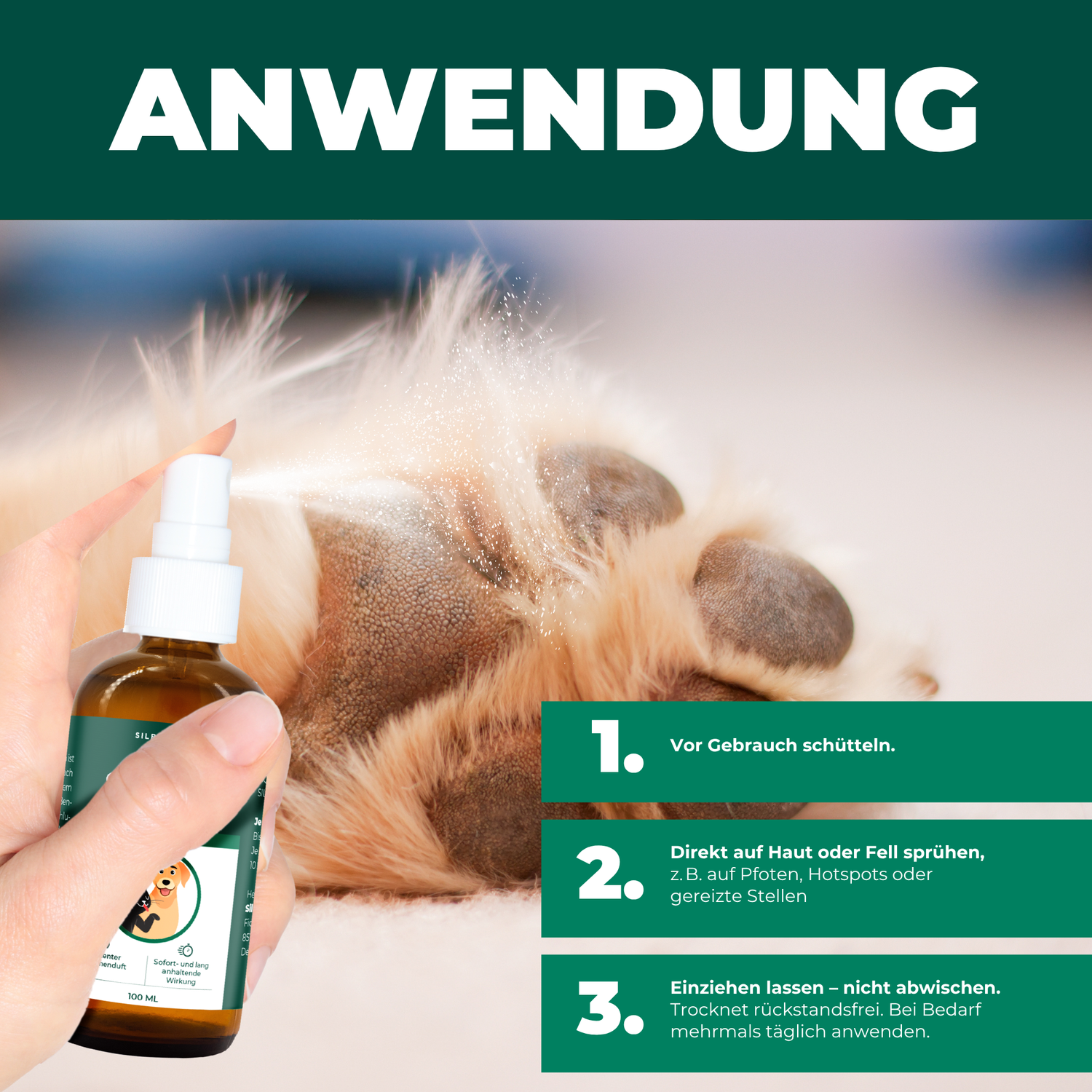 Kolloidales Silberspray 100 ml - Spray zur Wundheilung - Hautpflege bei Ungezieferbefall, Juckreiz, Infektionen, Entzündungen - für Hunde, Katzen, Nagetiere und andere Haustiere - Silberkraft