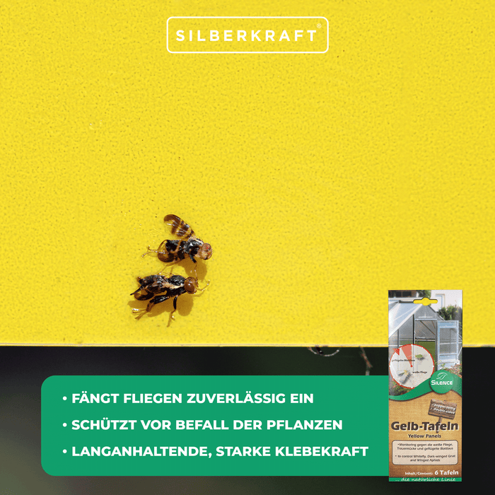 Silence Gelbtafeln (klein): Optimales Monitoring gegen die weiße Fliege, Trauermücke und Blattlaus - Silberkraft