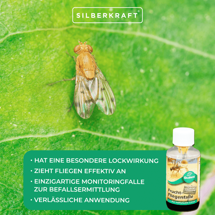 Silence Fruchtfliegenfalle: Monitoringfalle zur Befallsermittlung gegen Frucht-, Obst- und Essigfliegen - Silberkraft