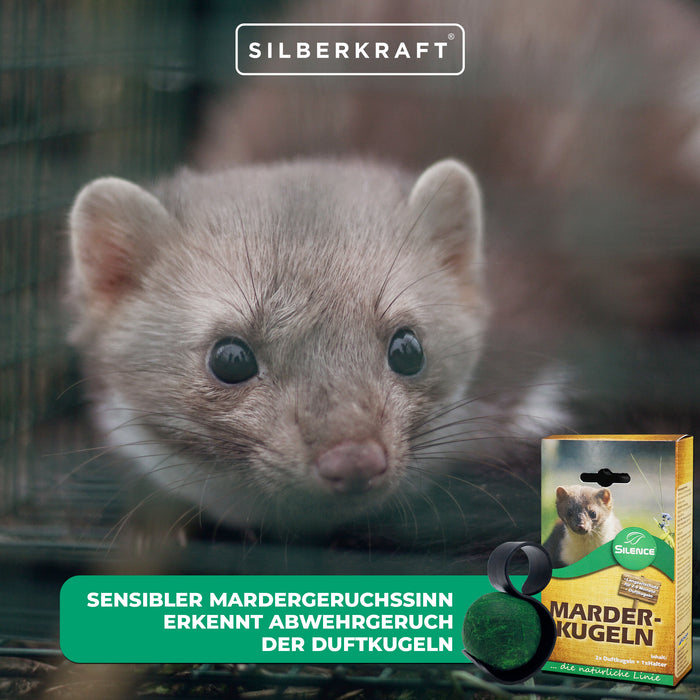Silence Marder-Duftkugeln: Effektiver Langzeitschutz vor Marderschäden am Auto - Silberkraft