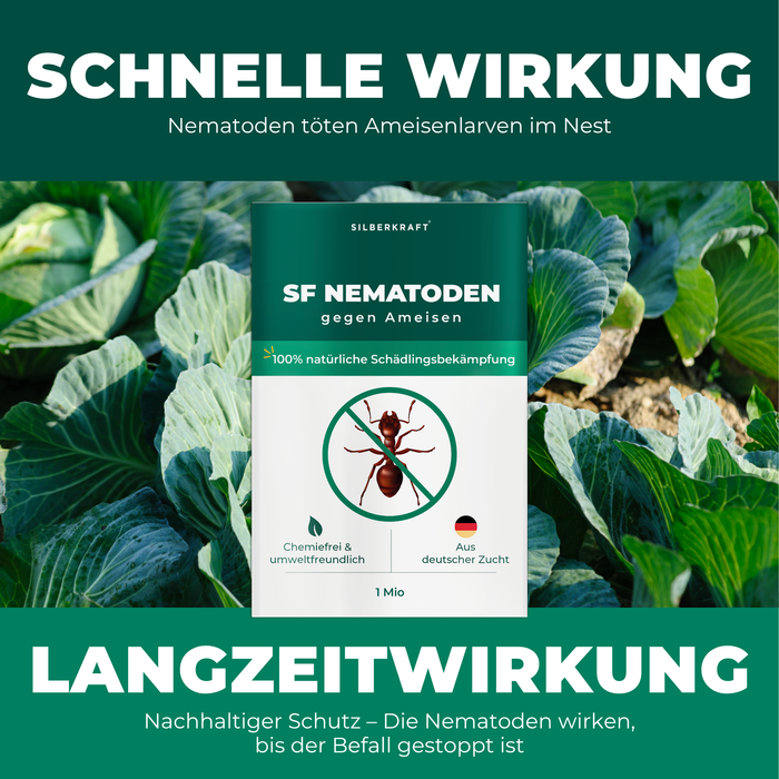 SF Nematoden gegen Ameisen - Silberkraft
