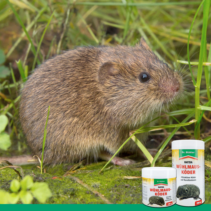Wühlmausköder Ratzia: Effektiver Wühlmausköder auf Karottenbasis - Silberkraft