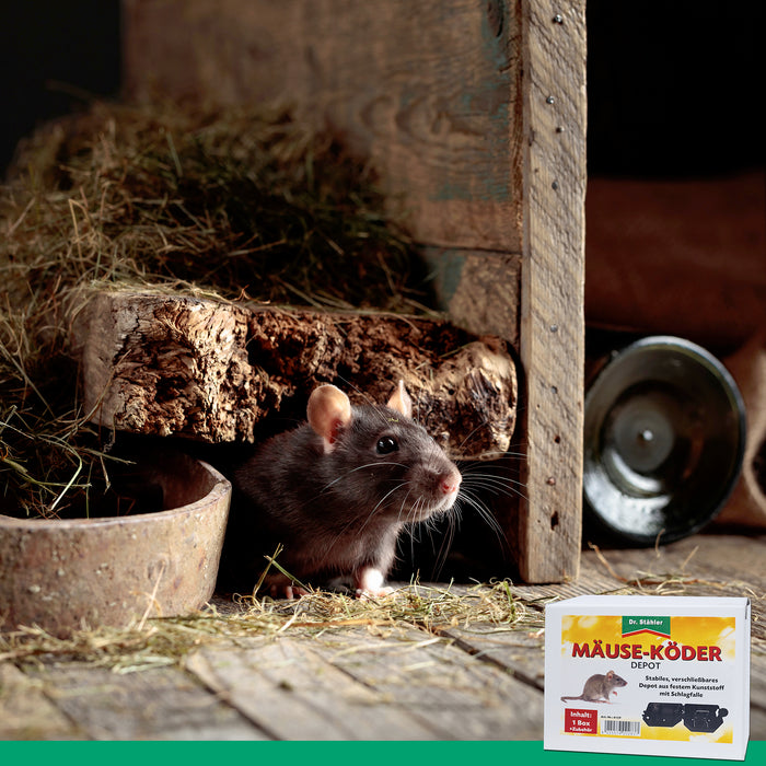 Mäuseköder-Depot mit Schlagfalle für Haus und Garten - Silberkraft
