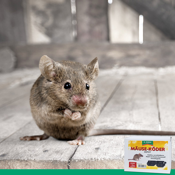 Mäuseköder-Depot mit Schlagfalle für Haus und Garten - Silberkraft