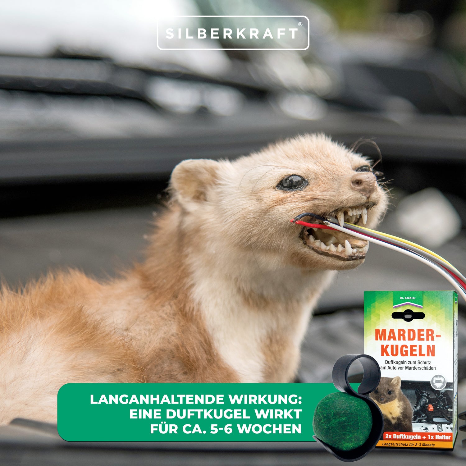 Effektiver Schutz vor Marderschäden: Marder-Duftkugeln für dein Auto - Silberkraft