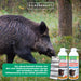Ferox-Protect Wildschweinabweiser Spray-Set: Zuverlässige Vertreibung von Wildschweinen - Silberkraft