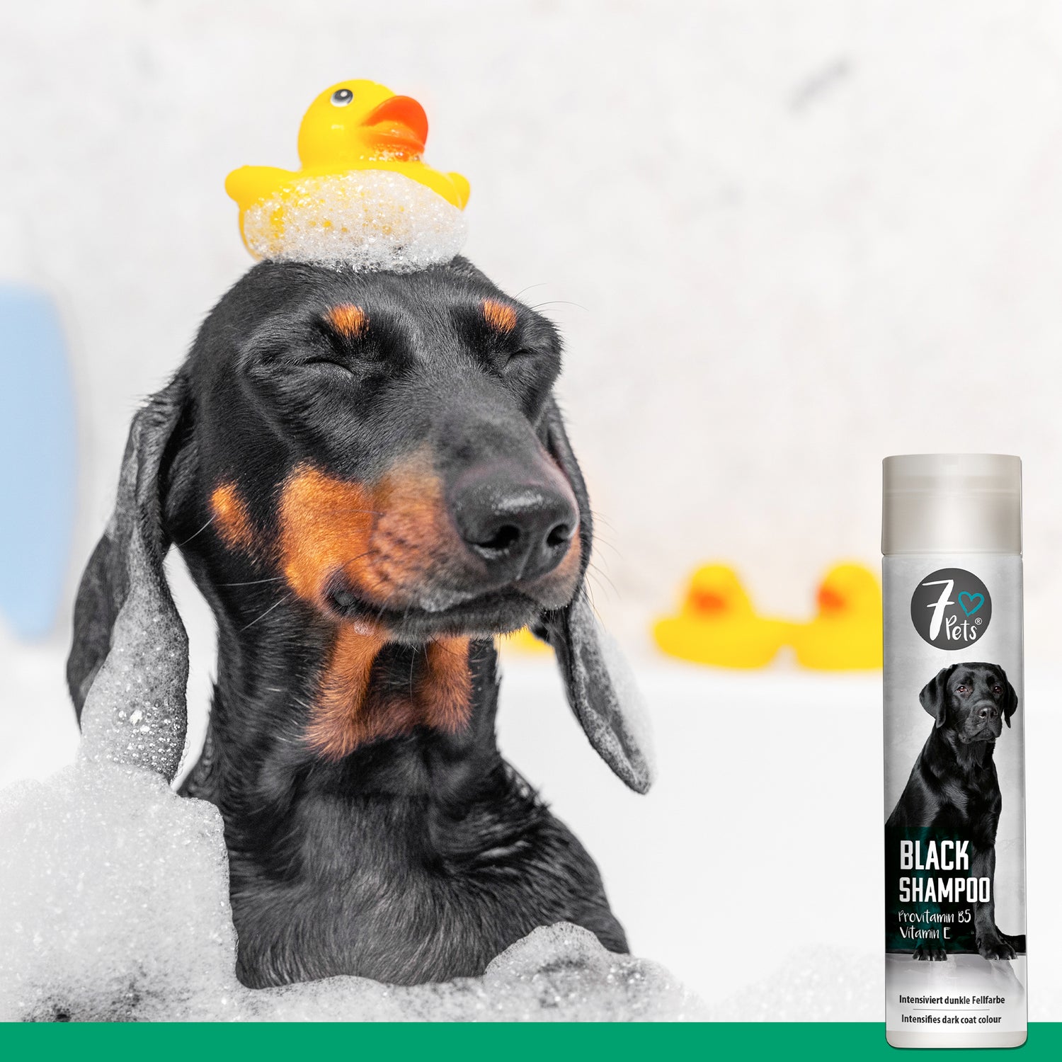 Black Shampoo - Hundeshampoo für dunkelfarbiges Fell - Silberkraft