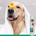 White Shampoo - Hundeshampoo für helles Fell - Silberkraft
