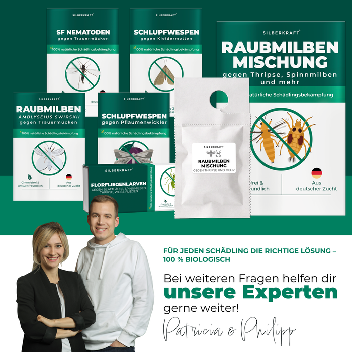 Silberkraft Nützlingsprodukte gegen Schädlinge – Beratung durch unsere Experten Patricia und Philipp