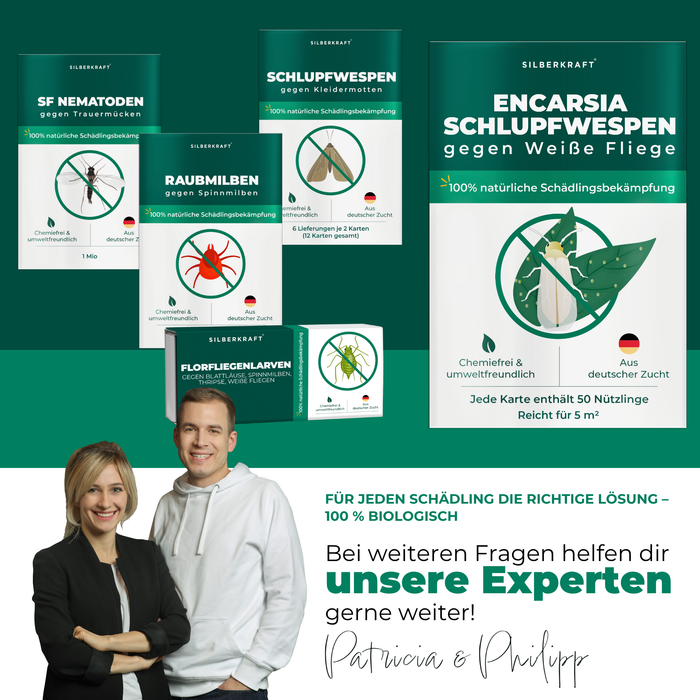 Eksperci Patricia i Philipp przedstawiają różne pożyteczne produkty na owady.