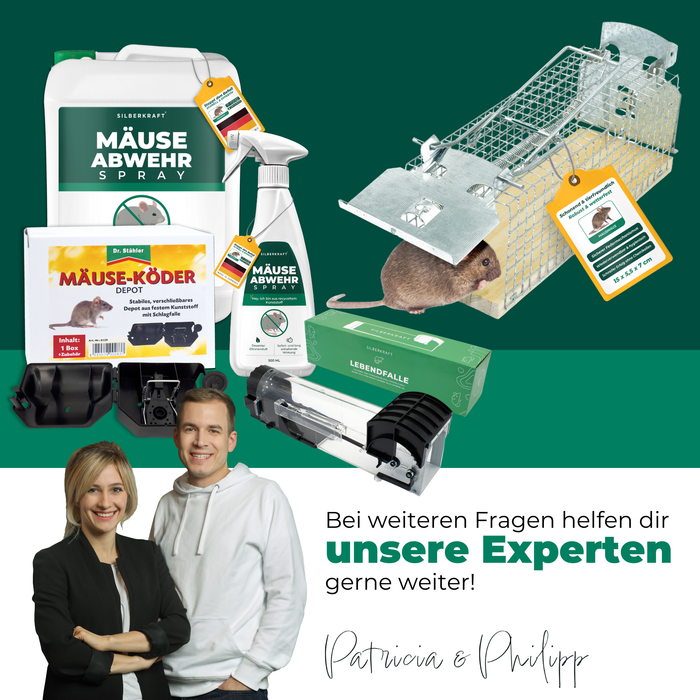 Lebendfalle für Mäuse aus Draht - Mäusefalle - tierfreundliche Alternative zu Schlagfallen und Giftköder - Silberkraft