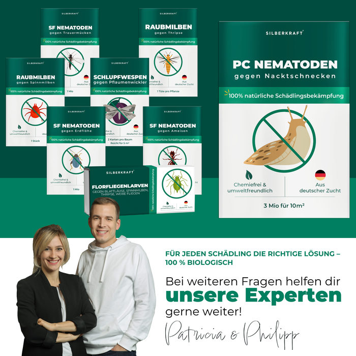 Nicienie PC przeciwko ślimakom nagie - Silberkraft