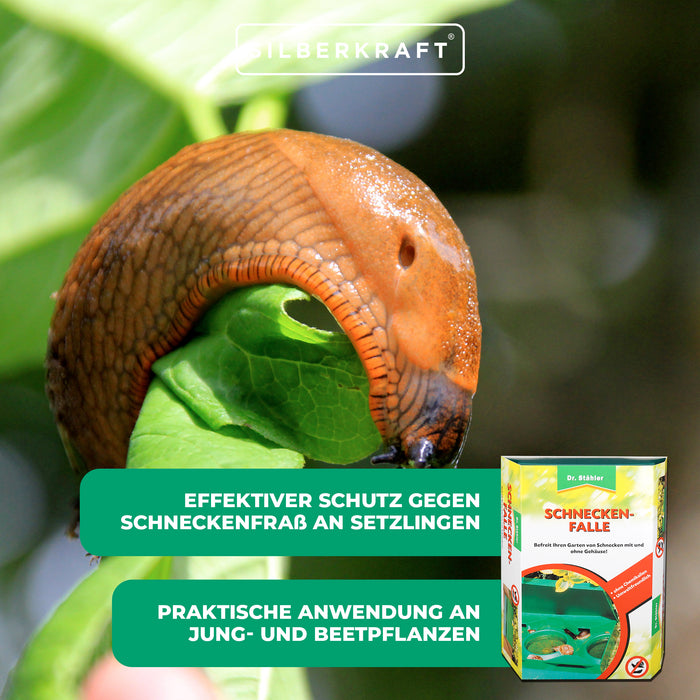 Clevere Schneckenfalle für einen schönen, ungestörten Garten - Silberkraft