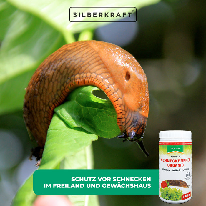 Schneckenfrei-Organic: Effektiver Schutz vor Schnecken im Garten - Silberkraft