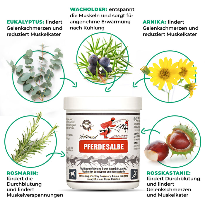Actimed Pferdesalbe mit Arnika: Erfrischende Pflege für beanspruchte Pferdemuskeln - Silberkraft
