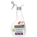 Spray do grzywy i ogona Genialny na lśniącą sierść końską - Silberkraft