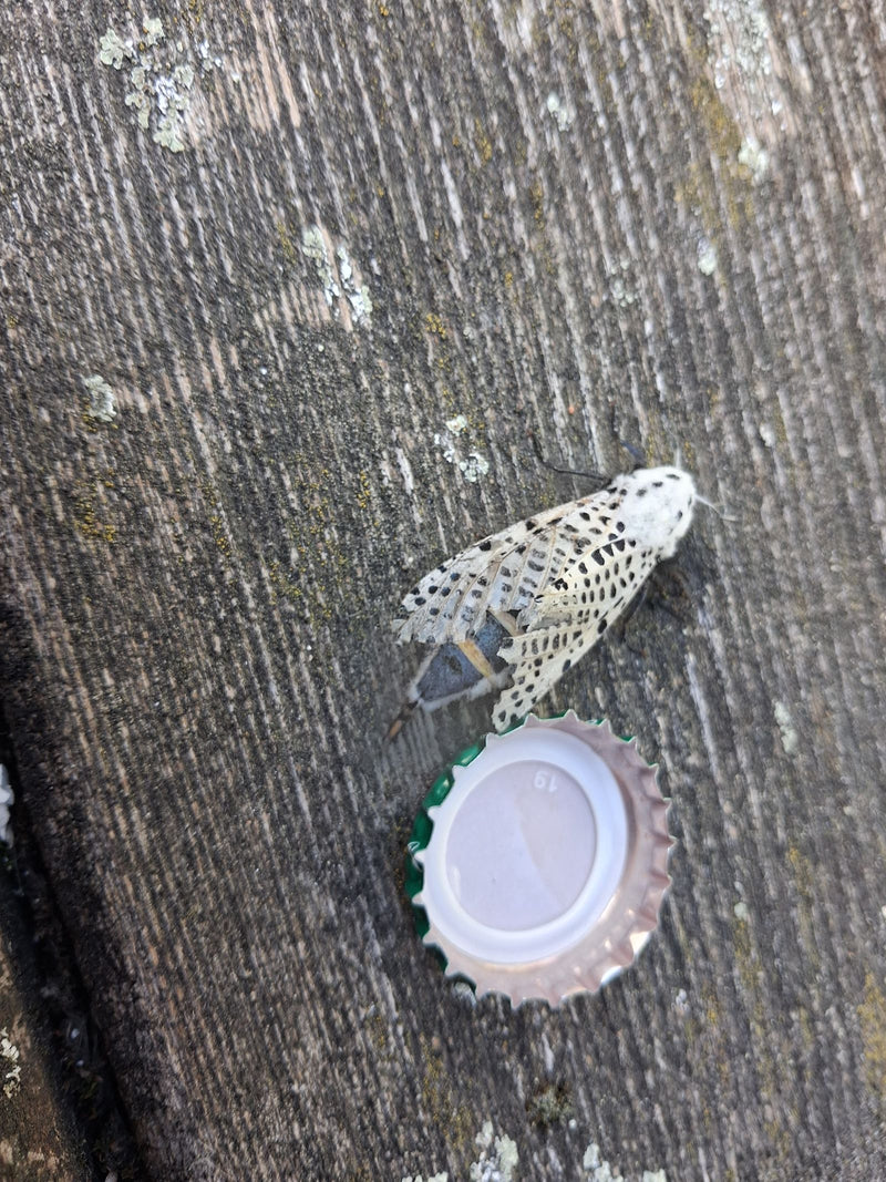 Niebieski ekran — zdjęcie 2 z 5