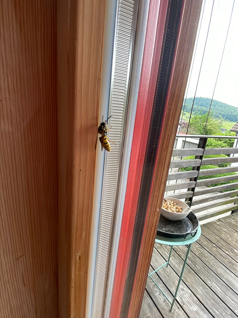Niemiecka osy siedzi na ramie drzwi balkonowych. W tle widoczny jest drewniany balkon i zielony krajobraz.