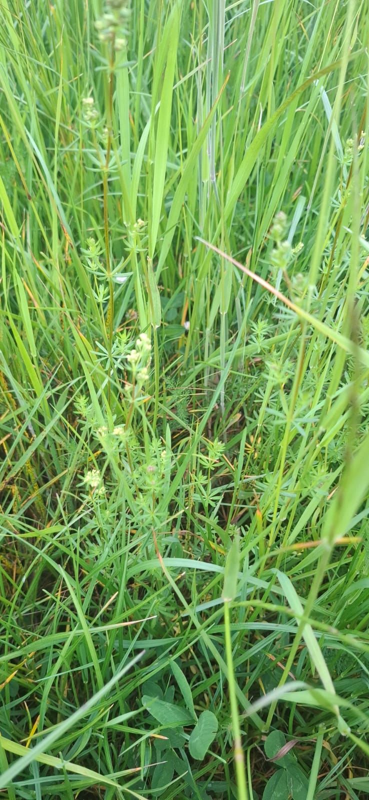 Prawdziwa pościel — Bild 3