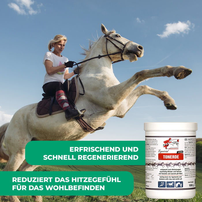 Equicid Tonerde: Erfrischende Pferdepflege für Entspannung und Regeneration - Silberkraft