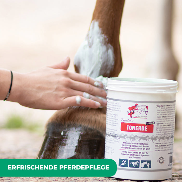 Equicid Tonerde: Erfrischende Pferdepflege für Entspannung und Regeneration - Silberkraft