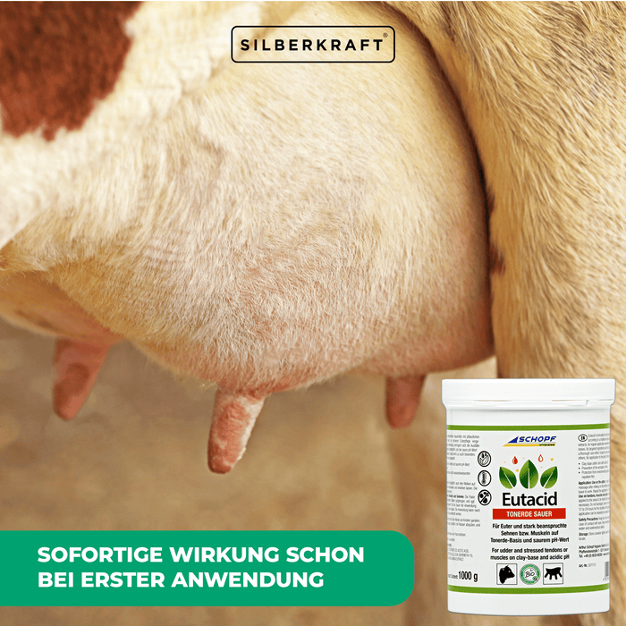 Eutacid Tonerdebalsam: Vielseitige Kuh-Pflege für Euter und Gelenke - Silberkraft