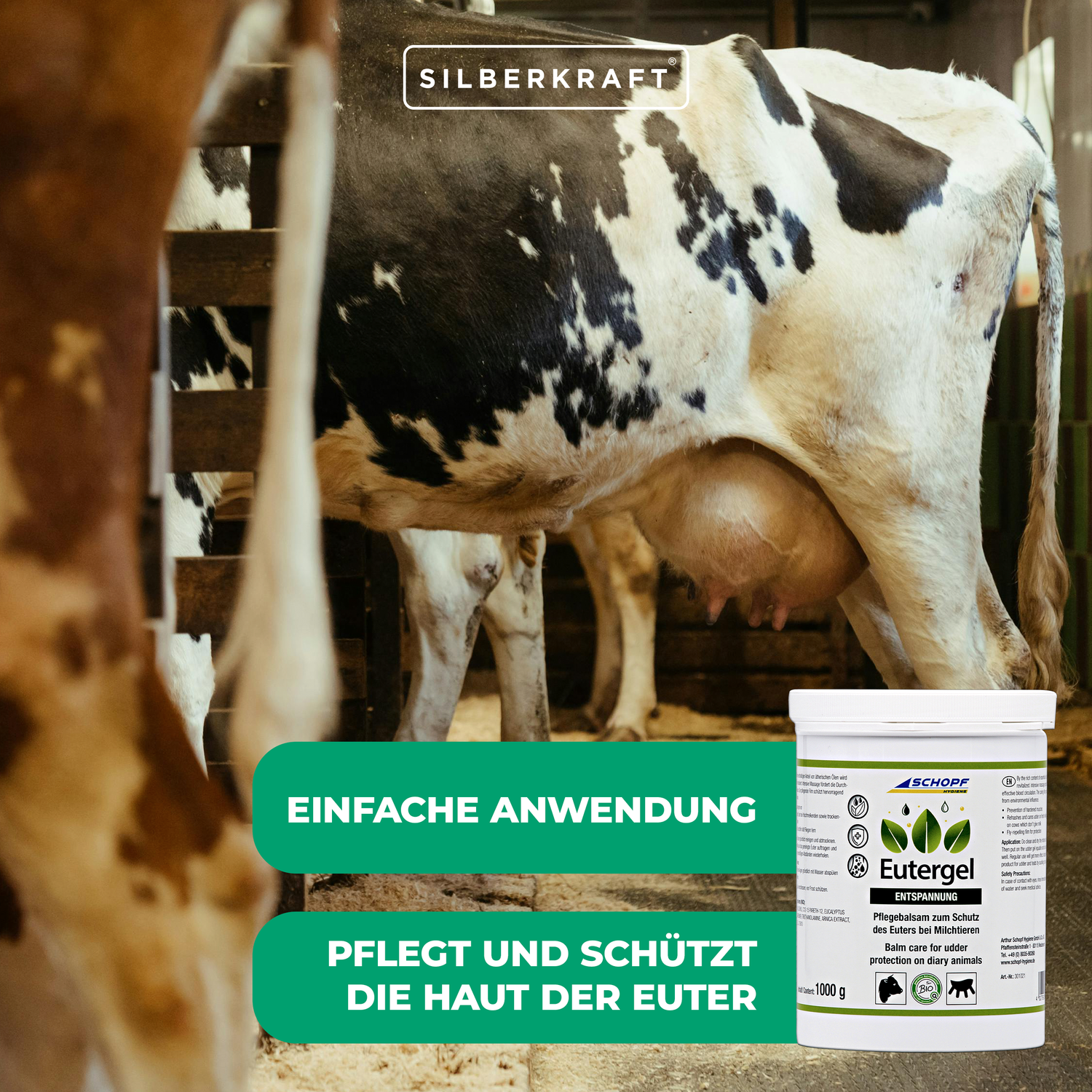 Eutergel grün: Schützendes Pflegebalsam für Kühe - Silberkraft
