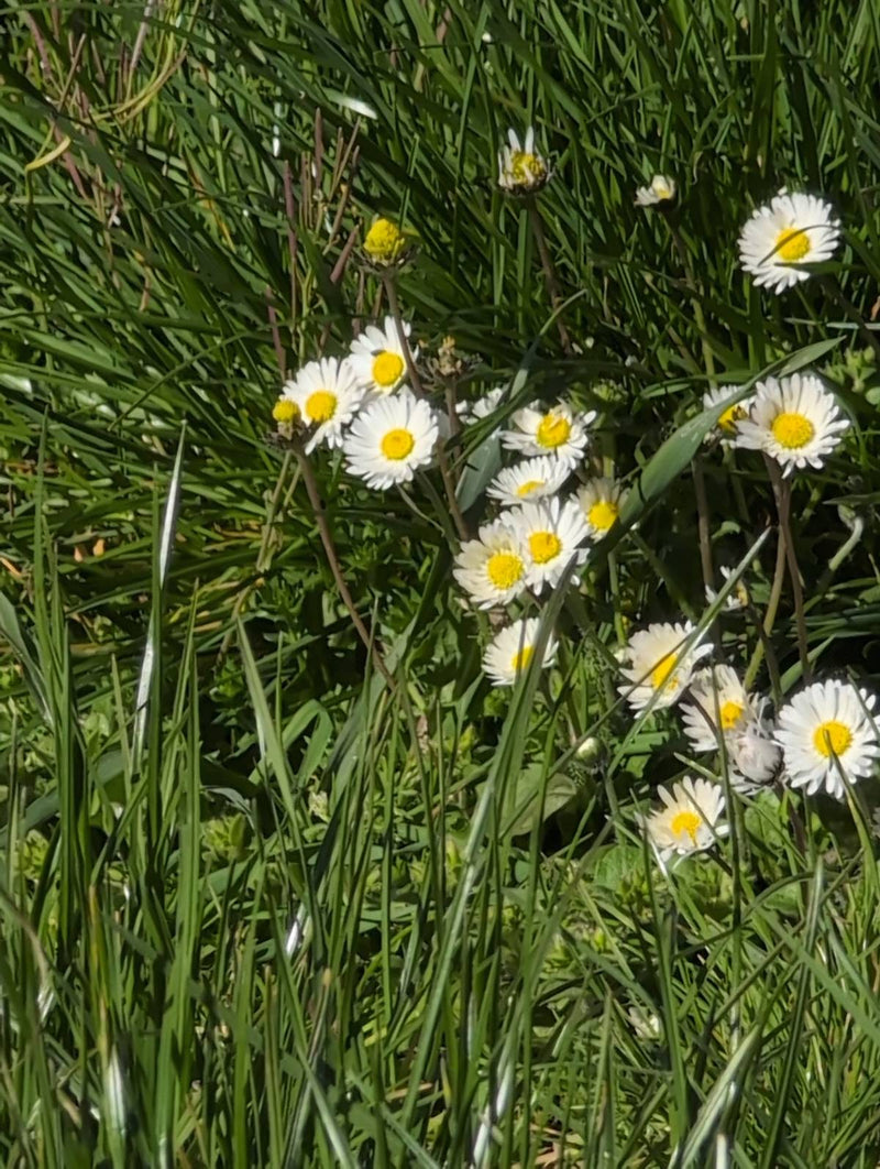 Piękny — Bild 1