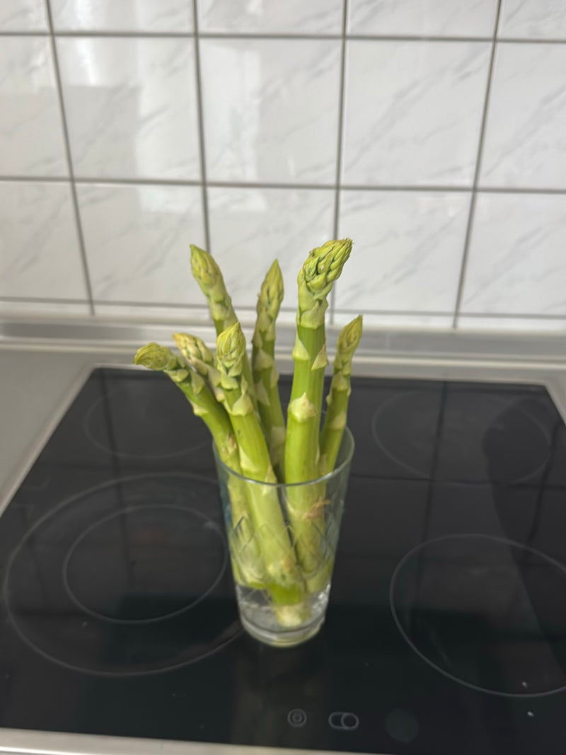 asparagus — Bild 1