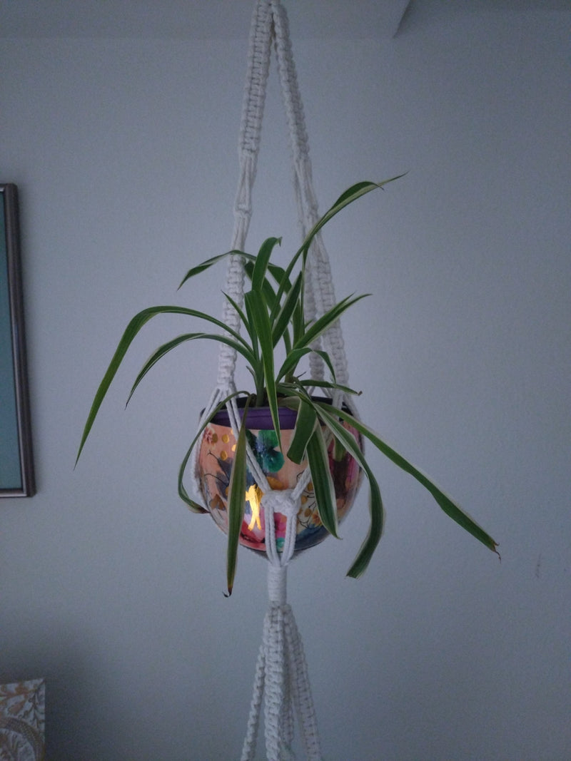 Zielona lilia — Bild 1