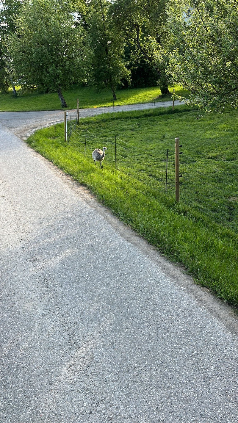Nand większy — Bild 2