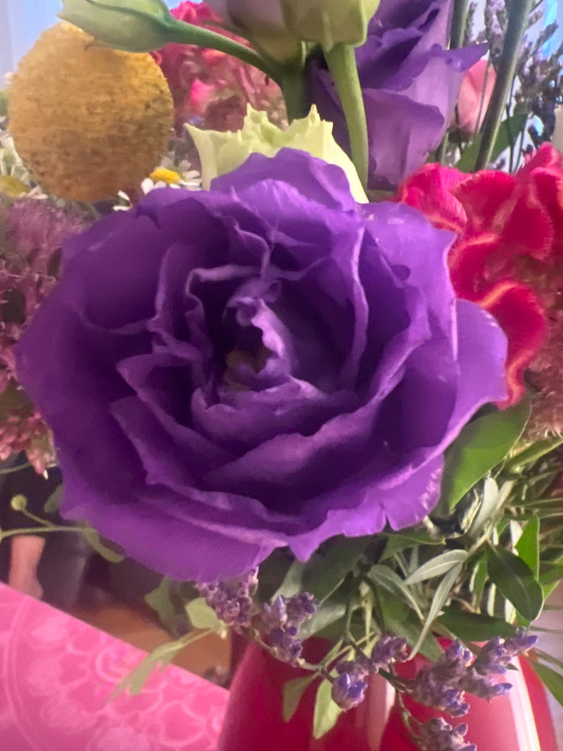 Japanrose (Lisianthus) — Bild 1