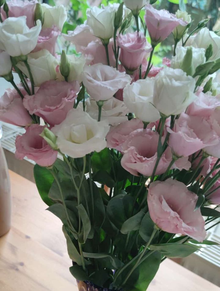 Róża japońska (Lisianthus) — Bild 1