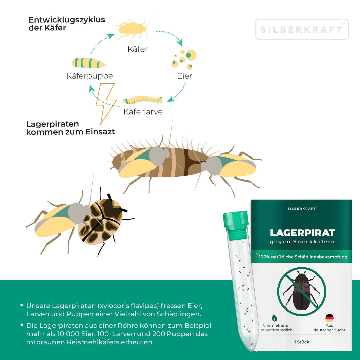Lagerpirat zur Bekämpfung von Speckkäfern, Teppichkäfer & Vorratsschädlingen Lagerpiraten - Silberkraft