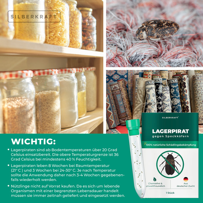 Lagerpirat zur Bekämpfung von Speckkäfern, Teppichkäfer & Vorratsschädlingen Lagerpiraten - Silberkraft