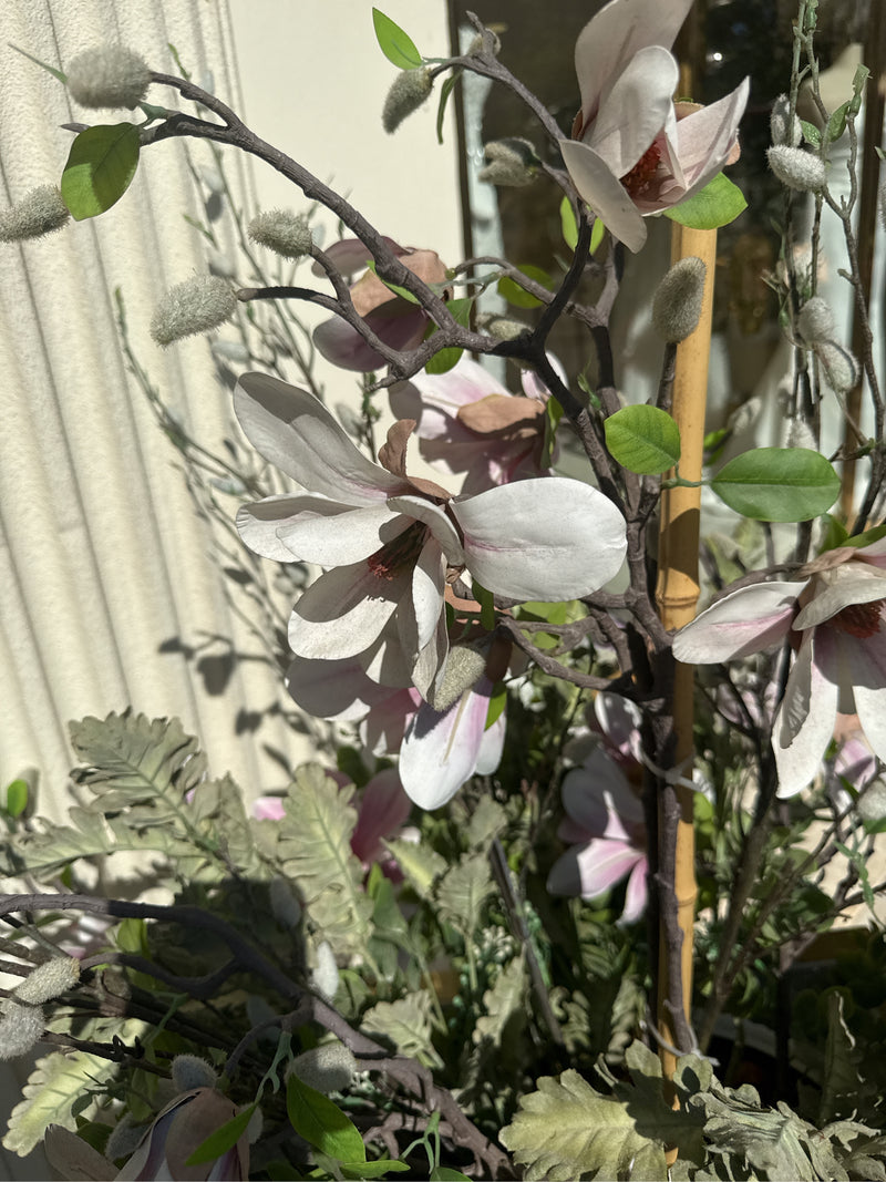 magnolia — Bild 1