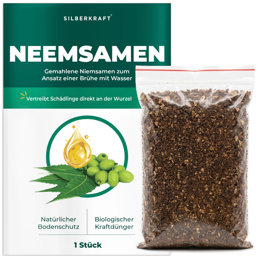 Neemsamen