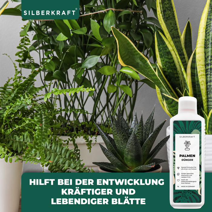 Palmendünger - Mineralischer NPK Flüssigdünger mit Stickstoff - Dünger für Palmen - Yucca Palmen Dünger - Palmen düngen - Silberkraft