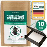 Chrząszcz bekonowy - pułapka feromonowa - Silberkraft