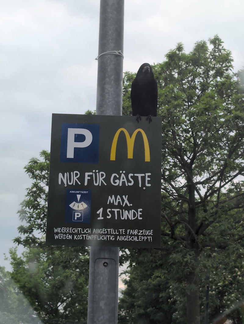 wieża — Bild 1