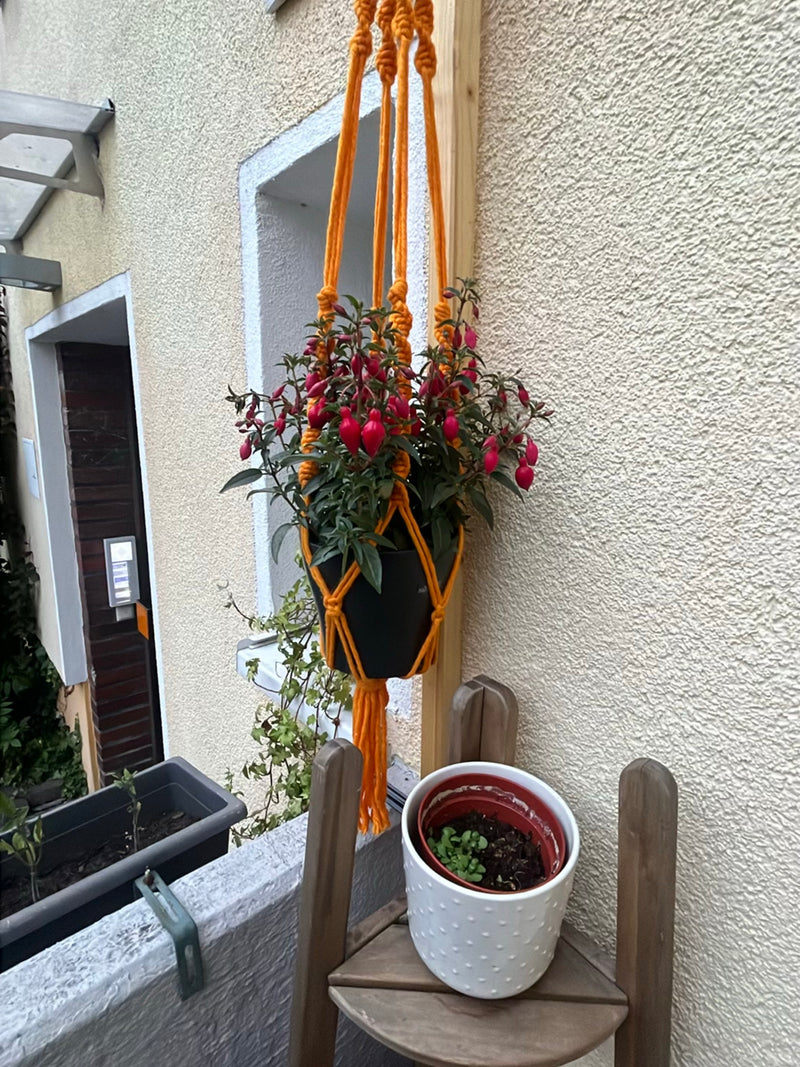 Fuksje — Bild 2