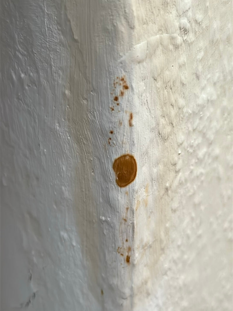 Konewka pleśni — Bild 2